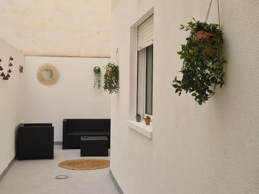 Beautiful Apartment With Patio Torrevieja Kültér fotó