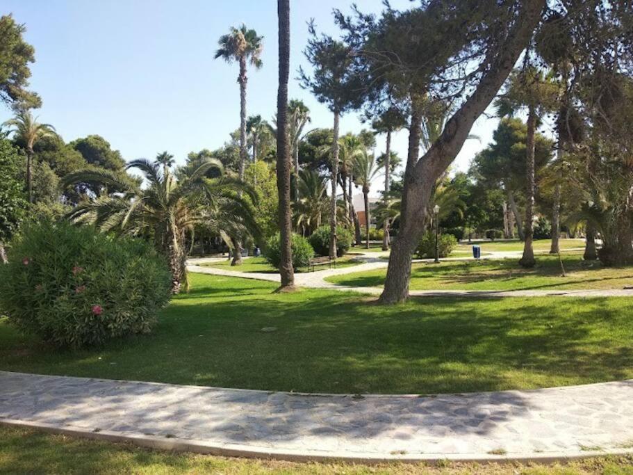 Beautiful Apartment With Patio Torrevieja Kültér fotó