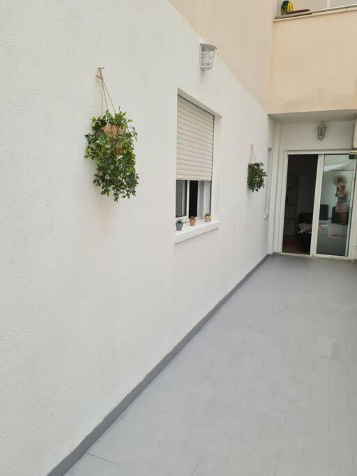 Beautiful Apartment With Patio Torrevieja Kültér fotó